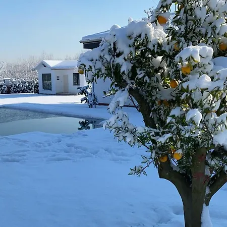 Villa_ala,,, 사판자
